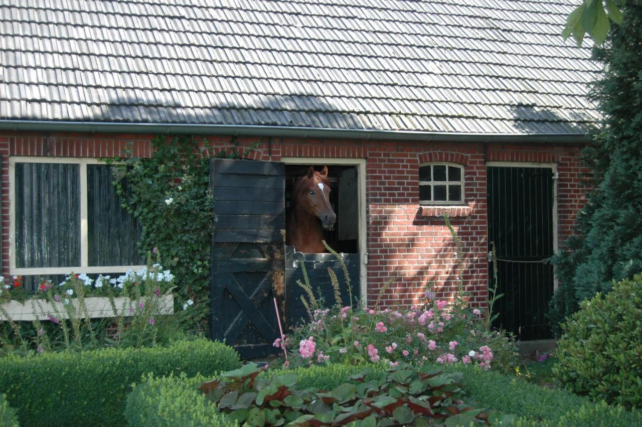Erve Het Roolvink Boerderij Appartementen 40-50 M2 Enschede Exterior foto